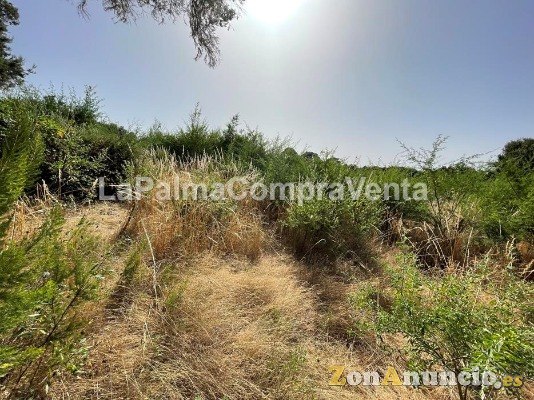 ID-457 Terreno para el cultivo, está fácil